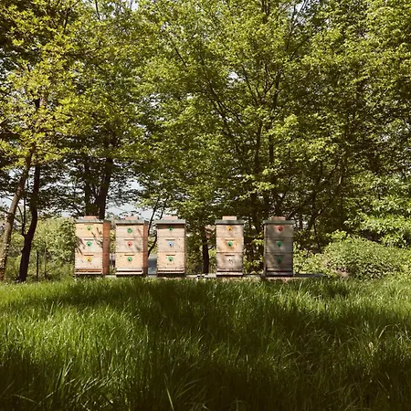 Nad Svatým Kiliánem * Davle