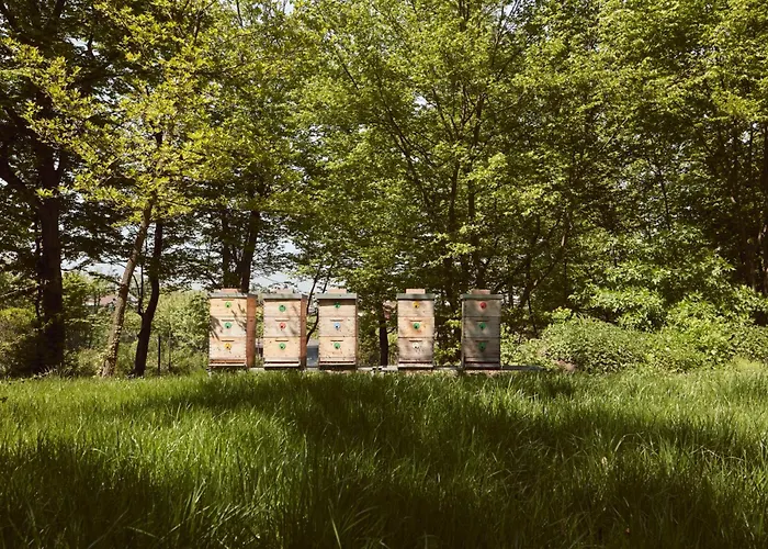 Nad Svatým Kiliánem * Davle